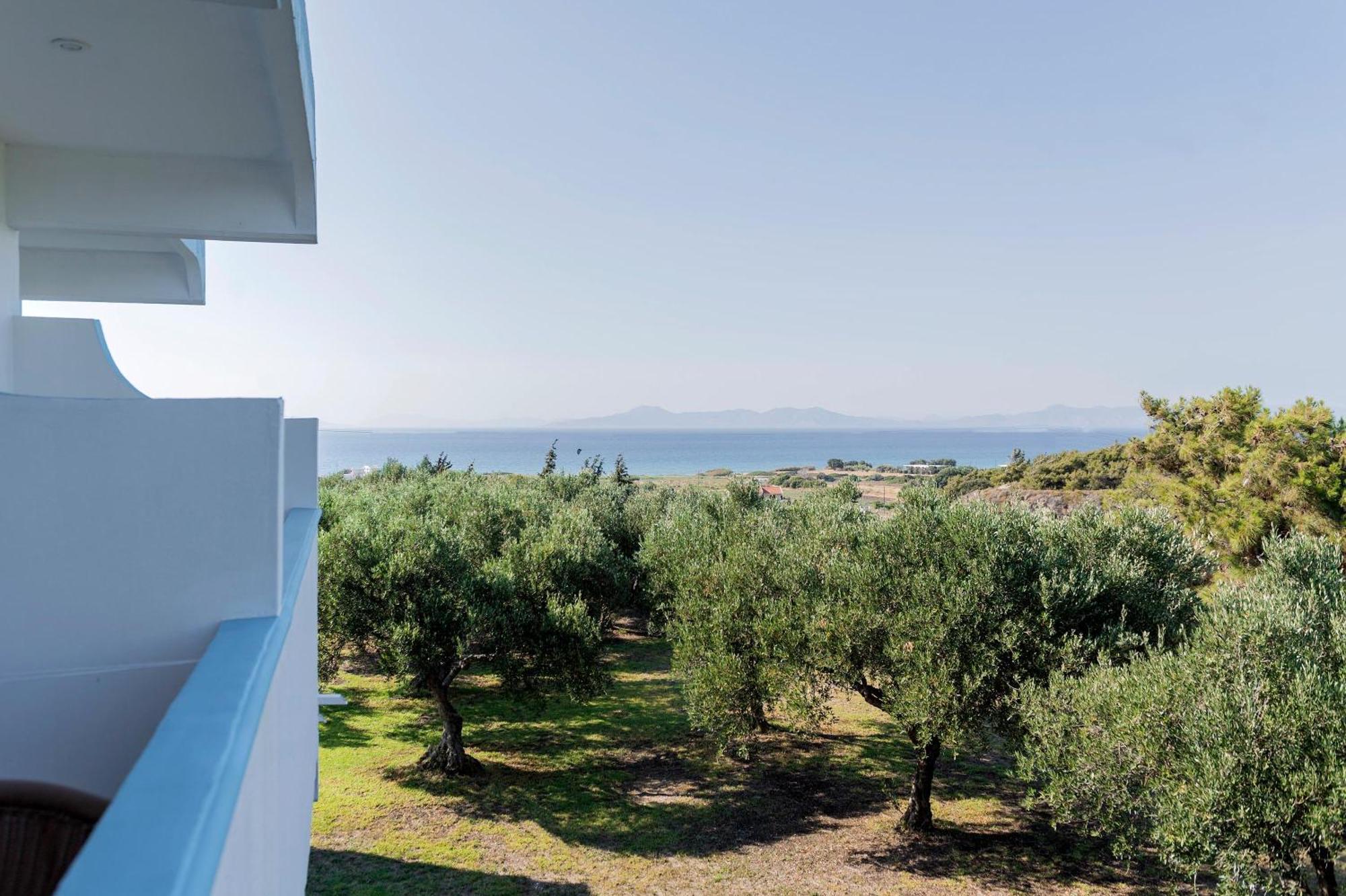 Summer View Theológos Exterior foto