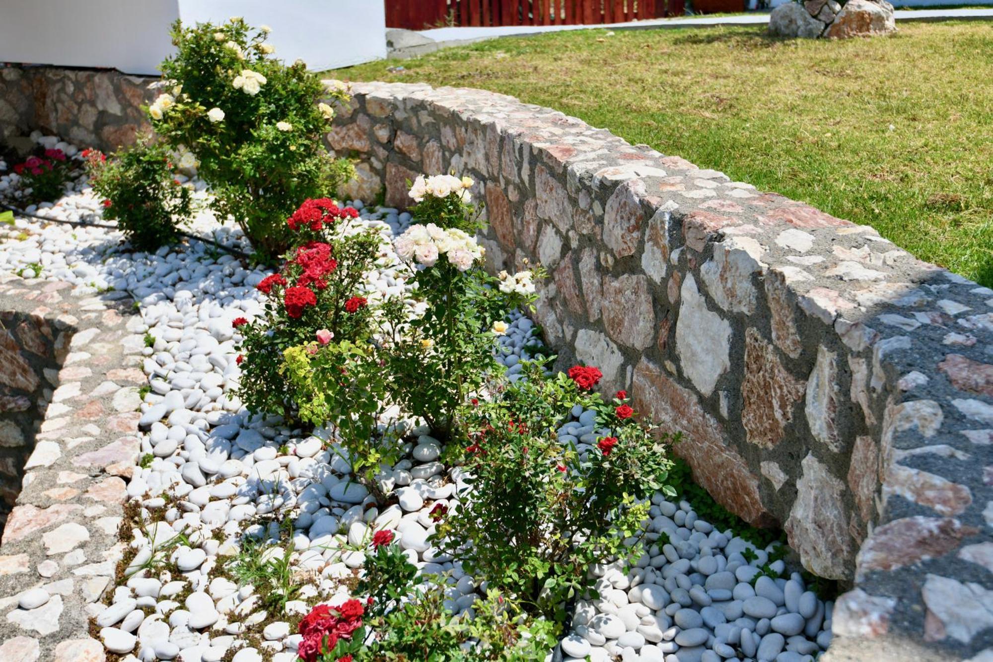 Summer View Theológos Exterior foto